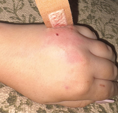 moreton01.jpg (207231 bytes)